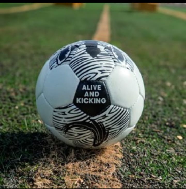 Football Size 5 Animal ball 